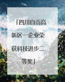 四川自贡高新区一企业荣获科技进步二等奖