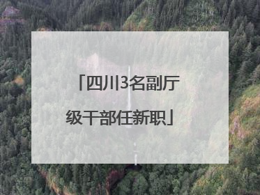 四川3名副厅级干部任新职