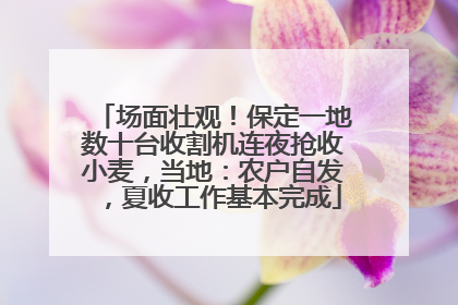 场面壮观！保定一地数十台收割机连夜抢收小麦，当地：农户自发，夏收工作基本完成