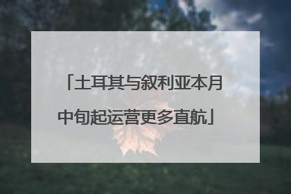 土耳其与叙利亚本月中旬起运营更多直航