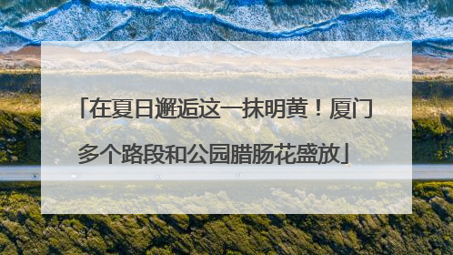 在夏日邂逅这一抹明黄！厦门多个路段和公园腊肠花盛放
