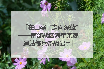 在山巅“走向深蓝”——南部战区海军某观通站练兵备战记事
