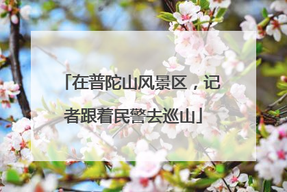 在普陀山风景区，记者跟着民警去巡山