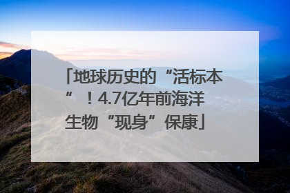 地球历史的“活标本”！4.7亿年前海洋生物“现身”保康
