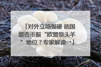 对外立场强硬 德国能否重振“欧盟领头羊”地位？专家解读→