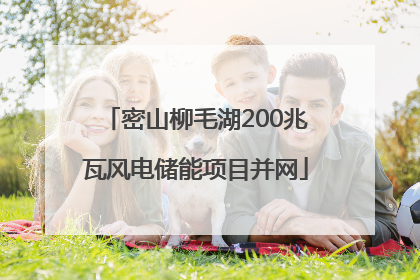 密山柳毛湖200兆瓦风电储能项目并网