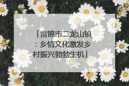 富锦市二龙山镇：乡情文化激发乡村振兴勃勃生机