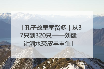 孔子故里孝贤多｜从37只到320只——刘健让泗水裘皮羊重生