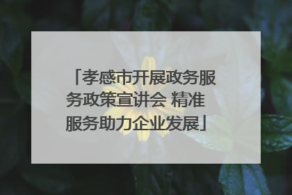 孝感市开展政务服务政策宣讲会 精准服务助力企业发展