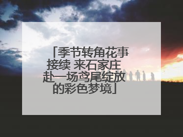 季节转角花事接续 来石家庄赴一场鸢尾绽放的彩色梦境