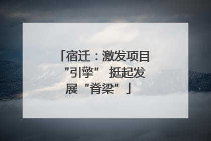宿迁：激发项目“引擎” 挺起发展“脊梁”