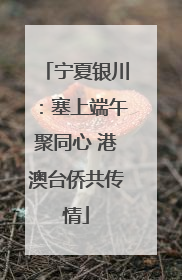 宁夏银川：塞上端午聚同心 港澳台侨共传情