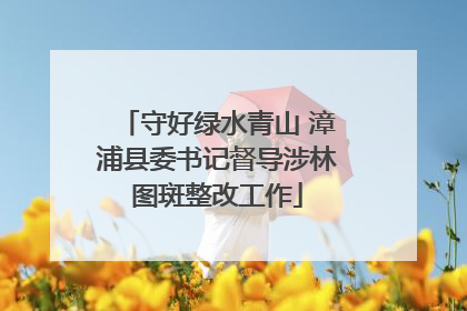 守好绿水青山 漳浦县委书记督导涉林图斑整改工作