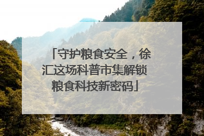 守护粮食安全，徐汇这场科普市集解锁粮食科技新密码