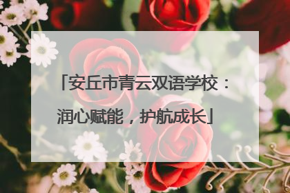 安丘市青云双语学校：润心赋能，护航成长