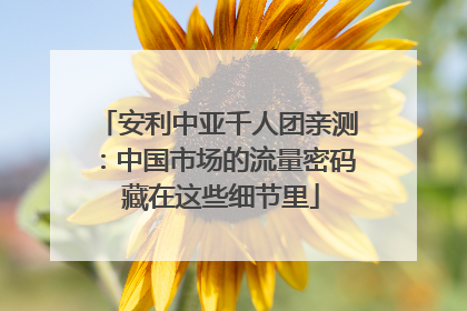 安利中亚千人团亲测：中国市场的流量密码 藏在这些细节里
