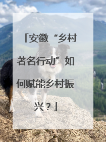 安徽“乡村著名行动”如何赋能乡村振兴？