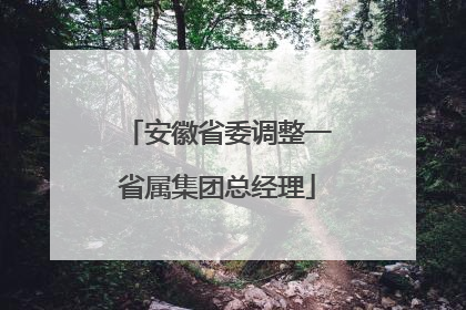 安徽省委调整一省属集团总经理