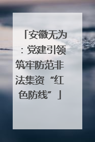 安徽无为：党建引领筑牢防范非法集资“红色防线”