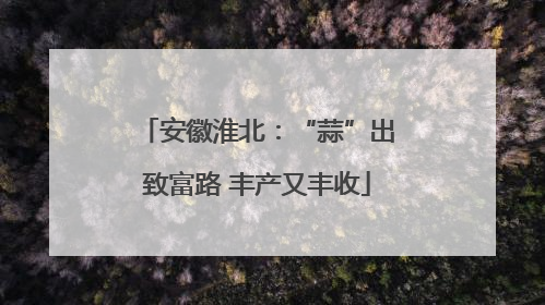 安徽淮北：“蒜”出致富路 丰产又丰收
