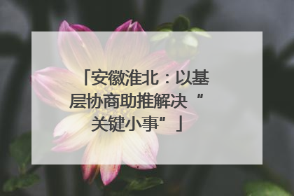 安徽淮北：以基层协商助推解决“关键小事”