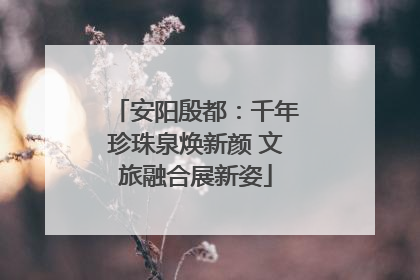 安阳殷都：千年珍珠泉焕新颜 文旅融合展新姿