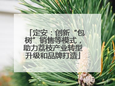 定安：创新“包树”销售等模式，助力荔枝产业转型升级和品牌打造