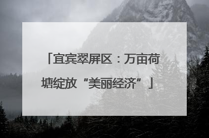 宜宾翠屏区：万亩荷塘绽放“美丽经济”
