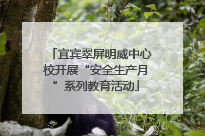 宜宾翠屏明威中心校开展“安全生产月”系列教育活动