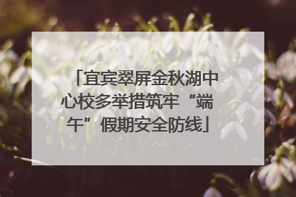 宜宾翠屏金秋湖中心校多举措筑牢“端午”假期安全防线