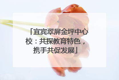 宜宾翠屏金坪中心校：共探教育特色，携手共促发展