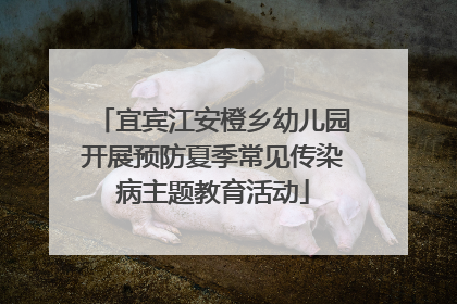 宜宾江安橙乡幼儿园开展预防夏季常见传染病主题教育活动