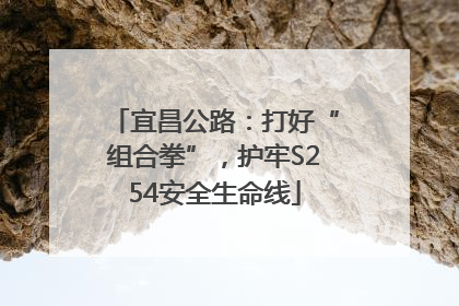 宜昌公路：打好“组合拳”，护牢S254安全生命线