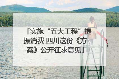 实施“五大工程”提振消费 四川这份《方案》公开征求意见