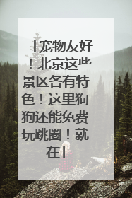 宠物友好！北京这些景区各有特色！这里狗狗还能免费玩跳圈！就在