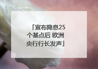 宣布降息25个基点后 欧洲央行行长发声