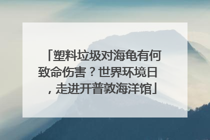 塑料垃圾对海龟有何致命伤害？世界环境日，走进开普敦海洋馆