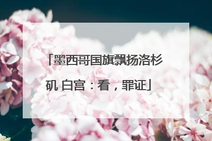 墨西哥国旗飘扬洛杉矶 白宫：看，罪证