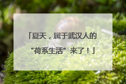 夏天，属于武汉人的“荷系生活”来了！