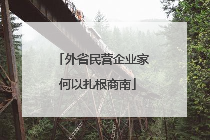 外省民营企业家何以扎根商南