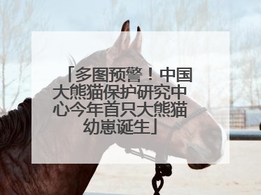 多图预警！中国大熊猫保护研究中心今年首只大熊猫幼崽诞生