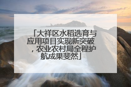 大祥区水稻选育与应用项目实现新突破，农业农村局全程护航成果斐然