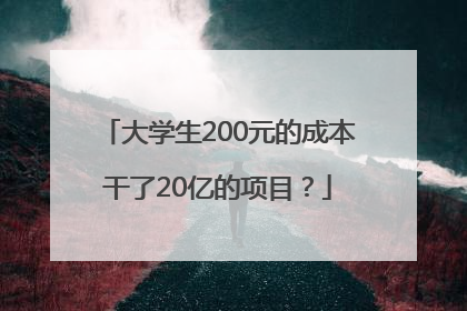 大学生200元的成本干了20亿的项目？