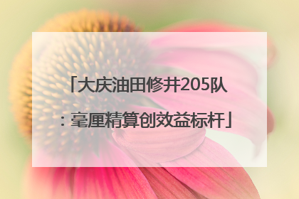 大庆油田修井205队：毫厘精算创效益标杆