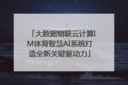 大数据物联云计算IM体育智慧AI系统打造全新关键驱动力