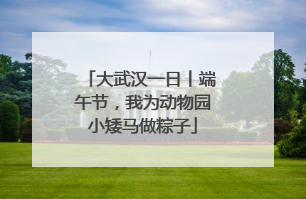 大武汉一日丨端午节，我为动物园小矮马做粽子
