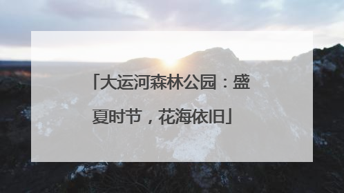 大运河森林公园：盛夏时节，花海依旧