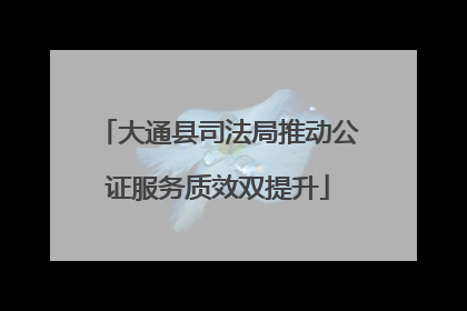 大通县司法局推动公证服务质效双提升
