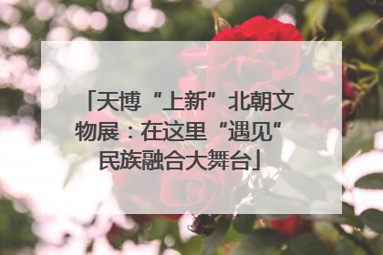 天博“上新”北朝文物展：在这里“遇见”民族融合大舞台