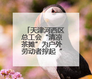 天津河西区总工会“清凉茶摊”为户外劳动者撑起“绿荫”